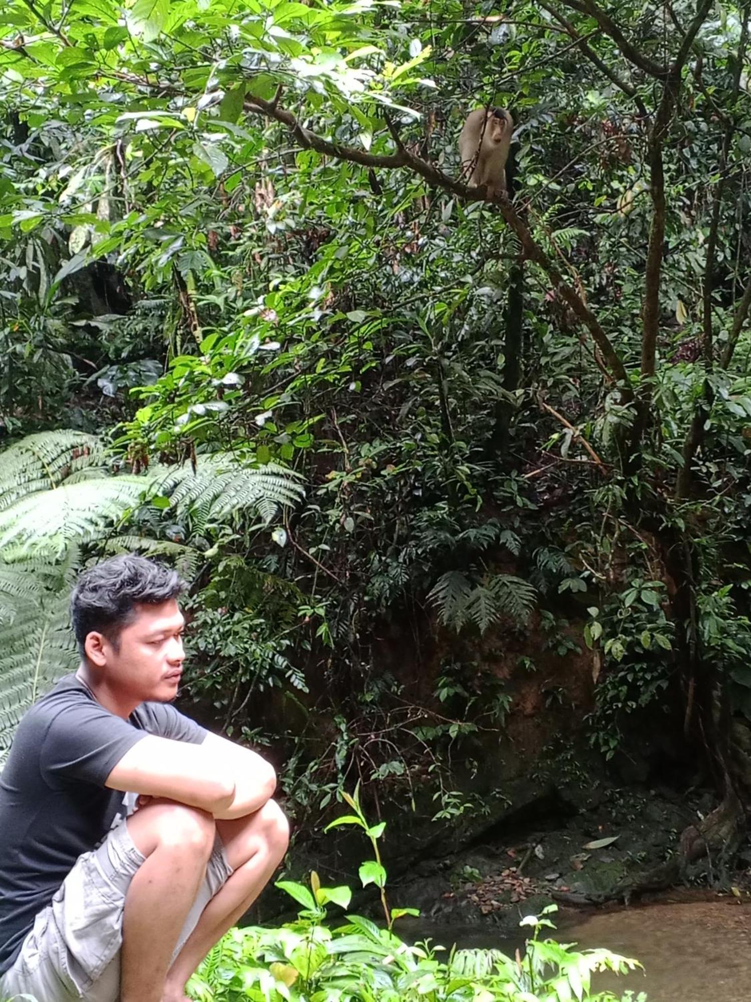 Sama Sama Homestay & Trekking Only Stay Here Book Trekking And Transport With Us Bukit Lawang Exterior foto