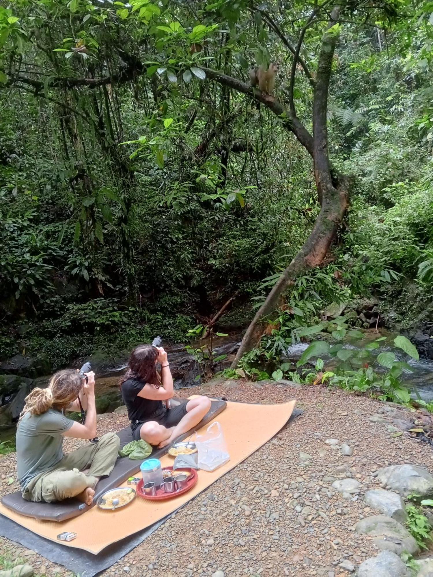 Sama Sama Homestay & Trekking Only Stay Here Book Trekking And Transport With Us Bukit Lawang Exterior foto